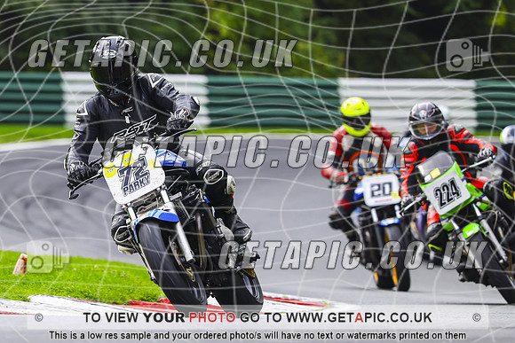 PH2610-015-C