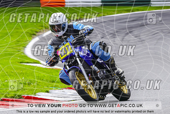 PH2610-095-C