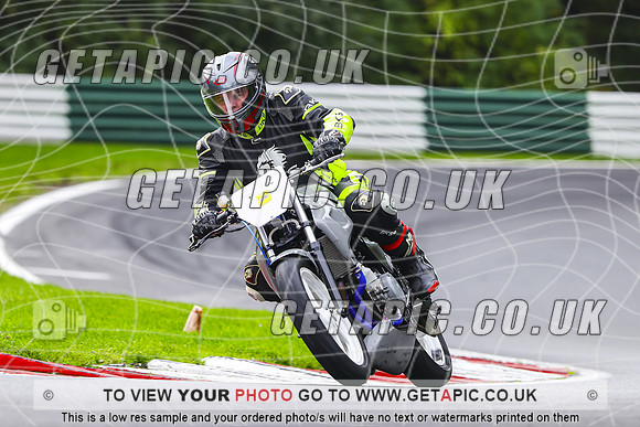 PH2610-034-C