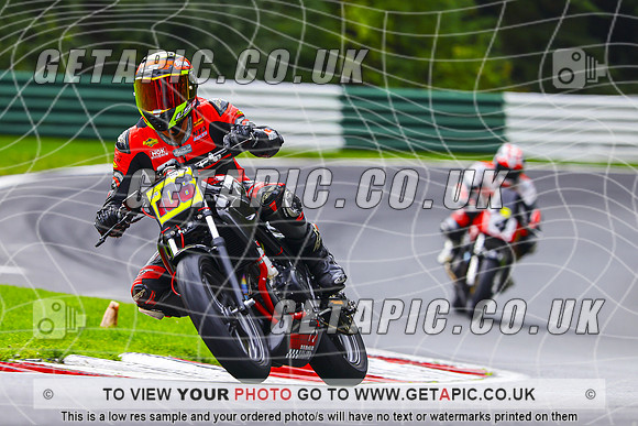 PH2610-020-C