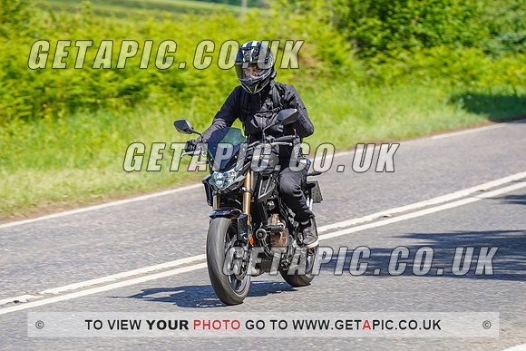RS2205_17679
