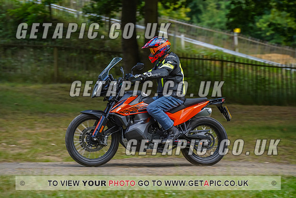 RS2207_1517