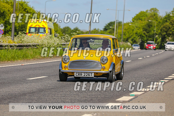 GP2305-23381