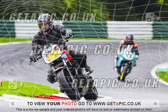 PH2610-029-C
