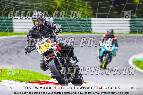 PH2610-029-C