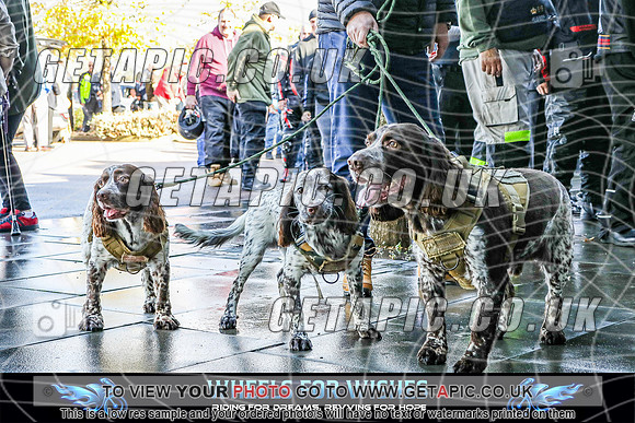 TW2609-2366_LOGO_ON_PHOTO