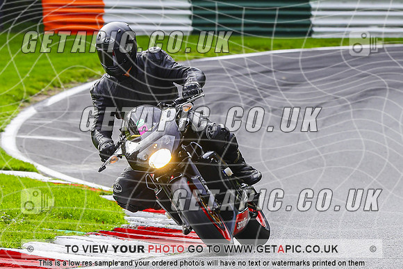 PH2610-091-C