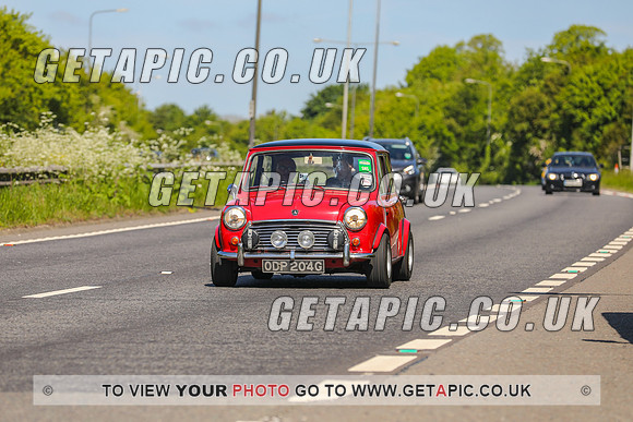 GP2305-23377