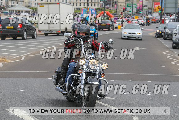 GP2305-33595