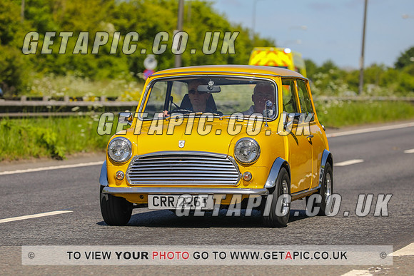 GP2305-23383