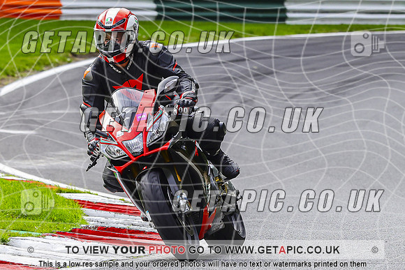 PH2610-088-C