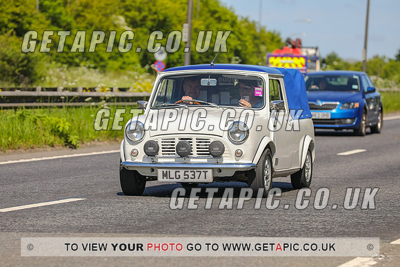 GP2305-23361
