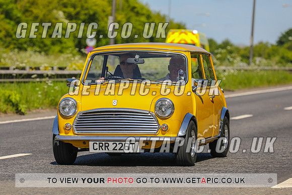 GP2305-23383C