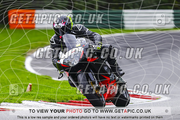 PH2610-005-C