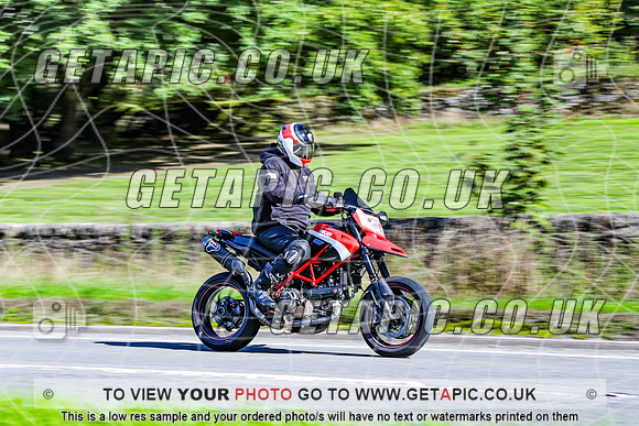 TW2609-4168