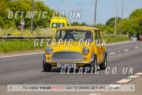 GP2305-23382