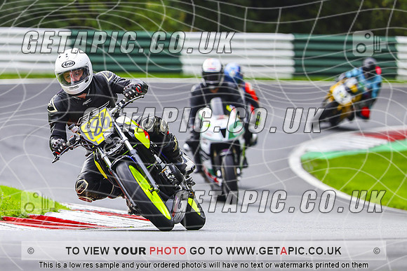 PH2610-031-C