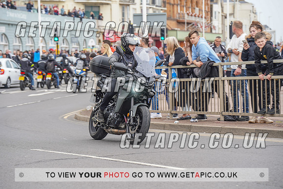 RS2205_14275