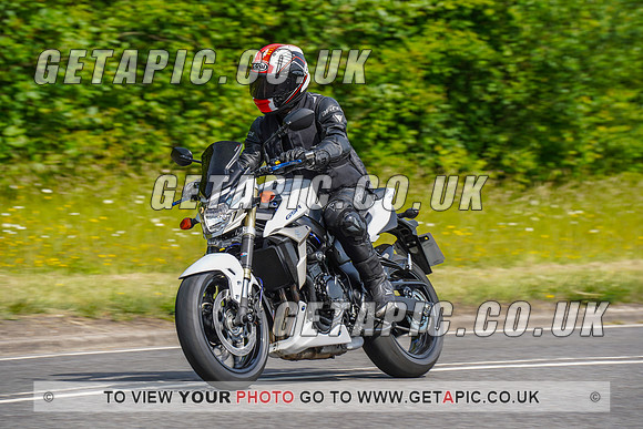 RS2206_6936