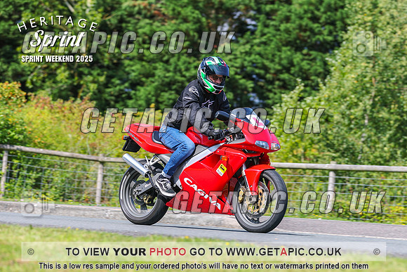 GP2508-8162-L_LOGO_ON_PHOTO