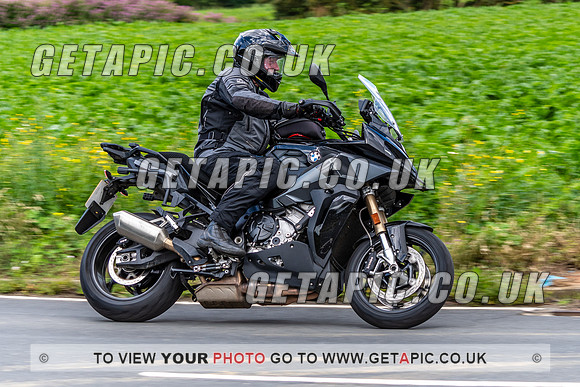 SP2307-019