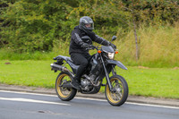 GP2308-3759C