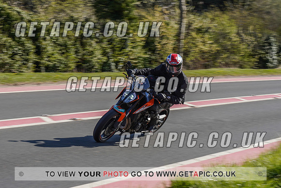 RS2104_1619