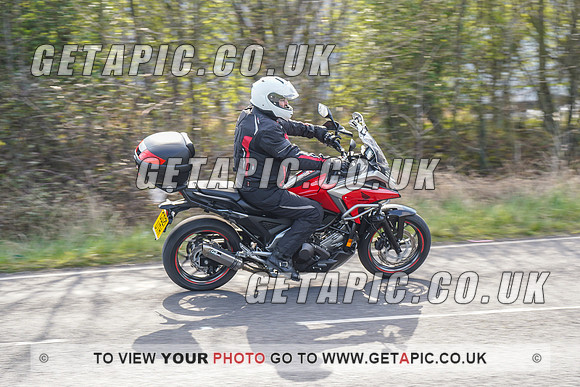 RS2203_4593