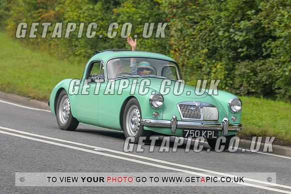 GP2309-311C