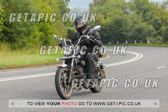 GP2309-394C