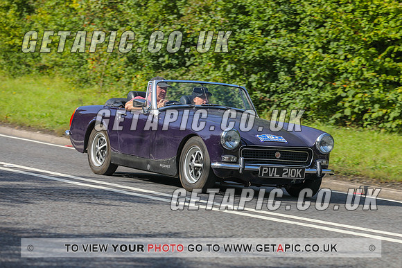 GP2309-1265C