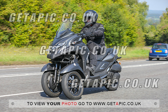 GP2309-2494C
