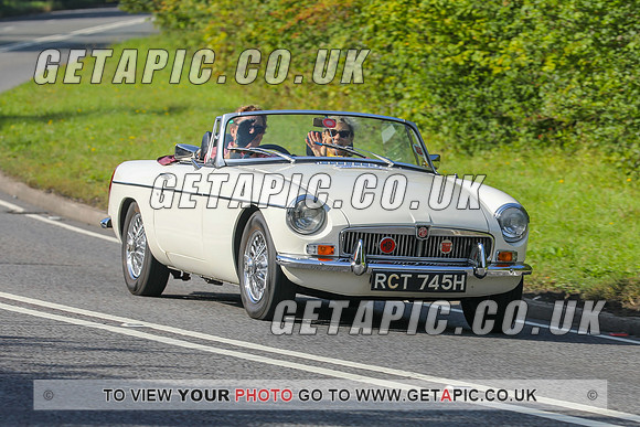 GP2309-1294C