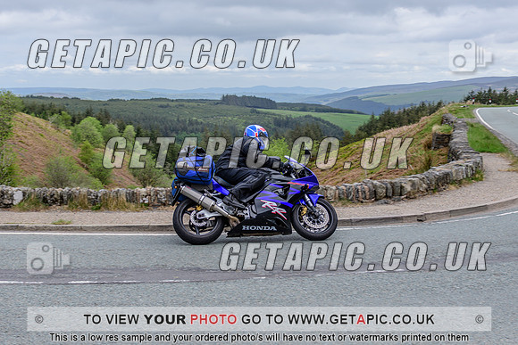 SP2505-146