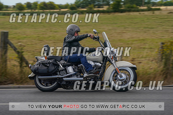 Rs2208_1799