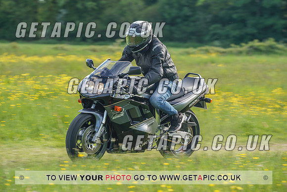 RS2106_1249