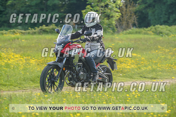 RS2106_1259