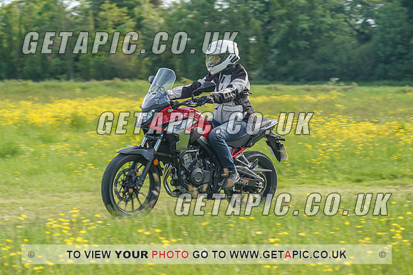 RS2106_1260