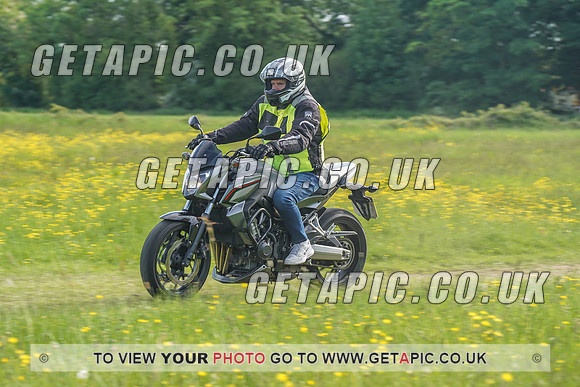 RS2106_1264