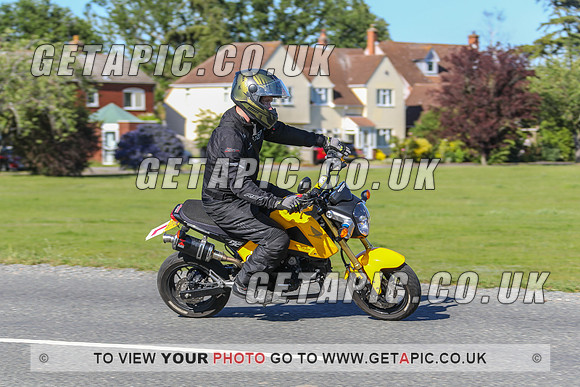 GP2106-50181