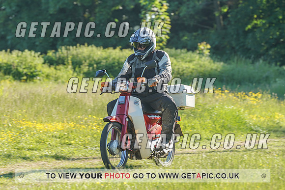 RS2106_1703