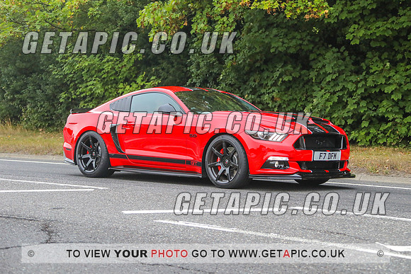 GP2309-16790_L