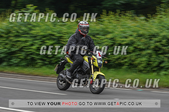 RS2106_3370