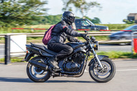 RS2106_3567