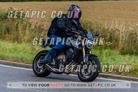 SP2309-0881