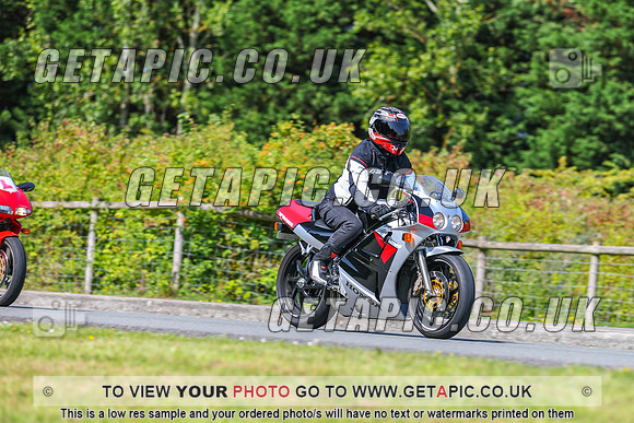 GP2508-8160-L