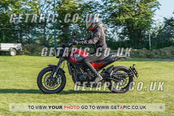 RS2107_3341