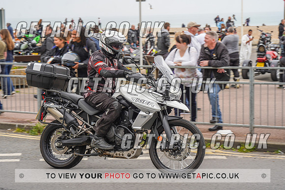 RS2205_14165