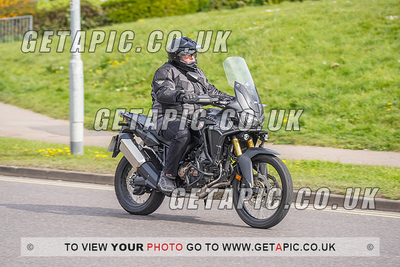 RS2204_3901