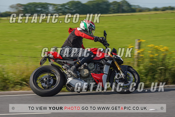 RS2108_10655